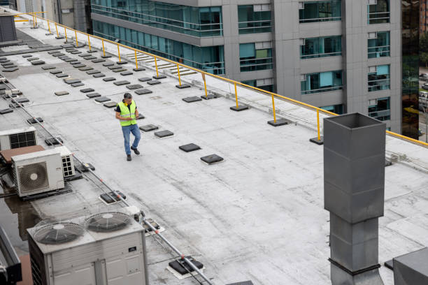 Best Roof Insulation Installation  in Del Mar, CA