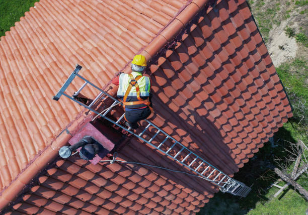 Best Cold Roofs  in Del Mar, CA
