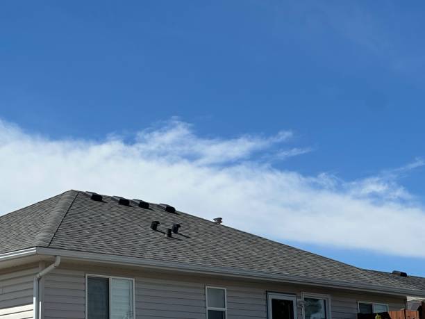 Best Skylight Installation and Repair  in Del Mar, CA